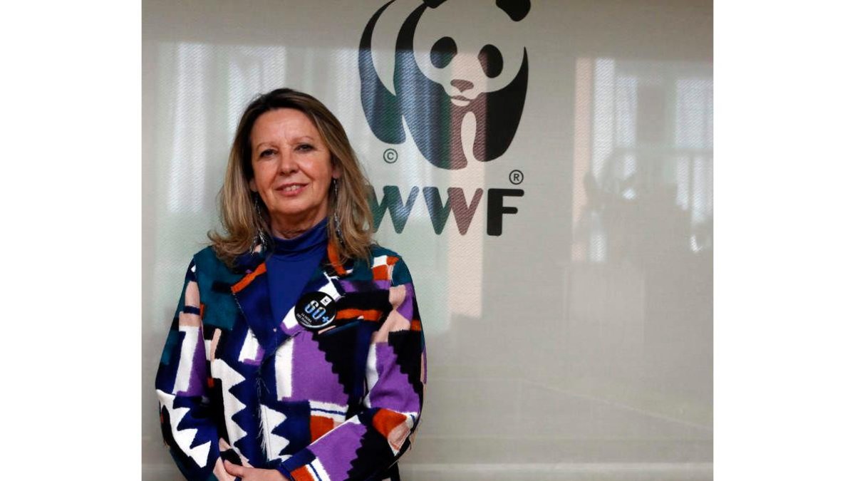 Margarita de Cos trabaja en WWF y es chairwoman en España del Global Summit of Women.