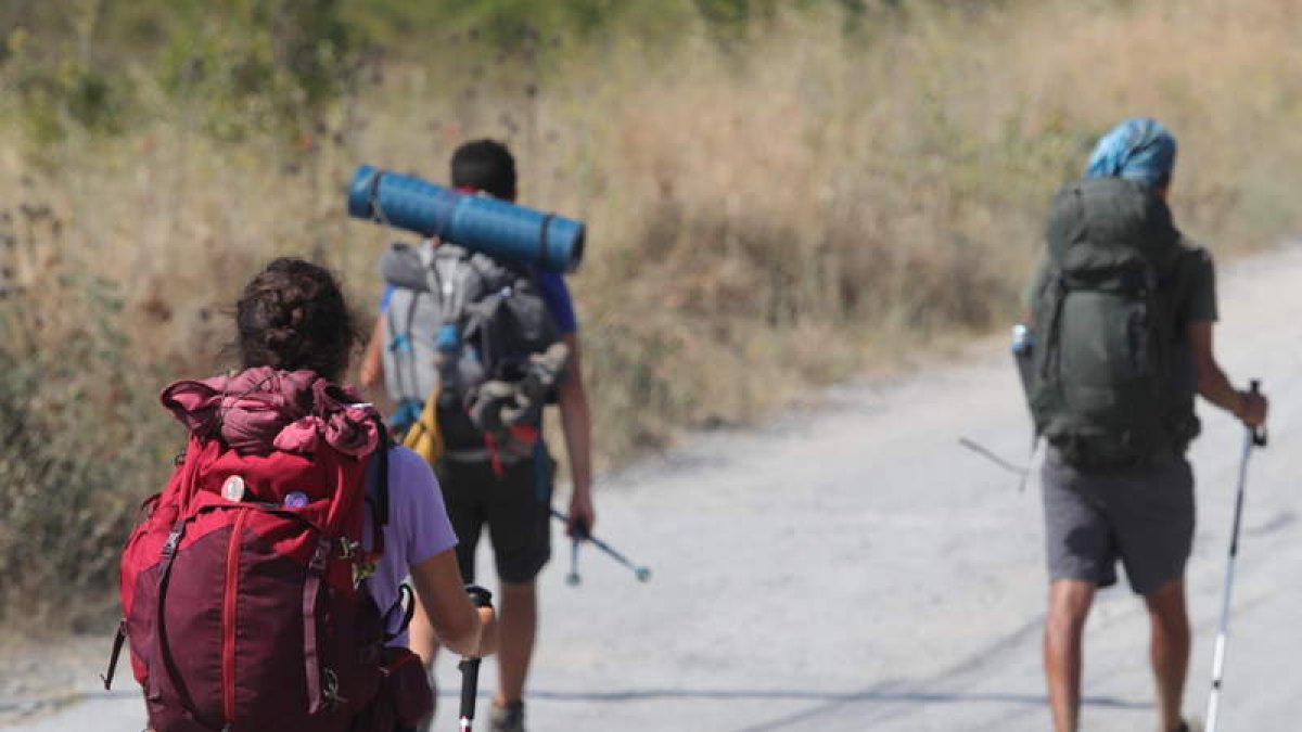 Imagen de peregrinos tomada ayer sábado a su paso por el Bierzo de camino hacia santiago. ANA F. BARREDO