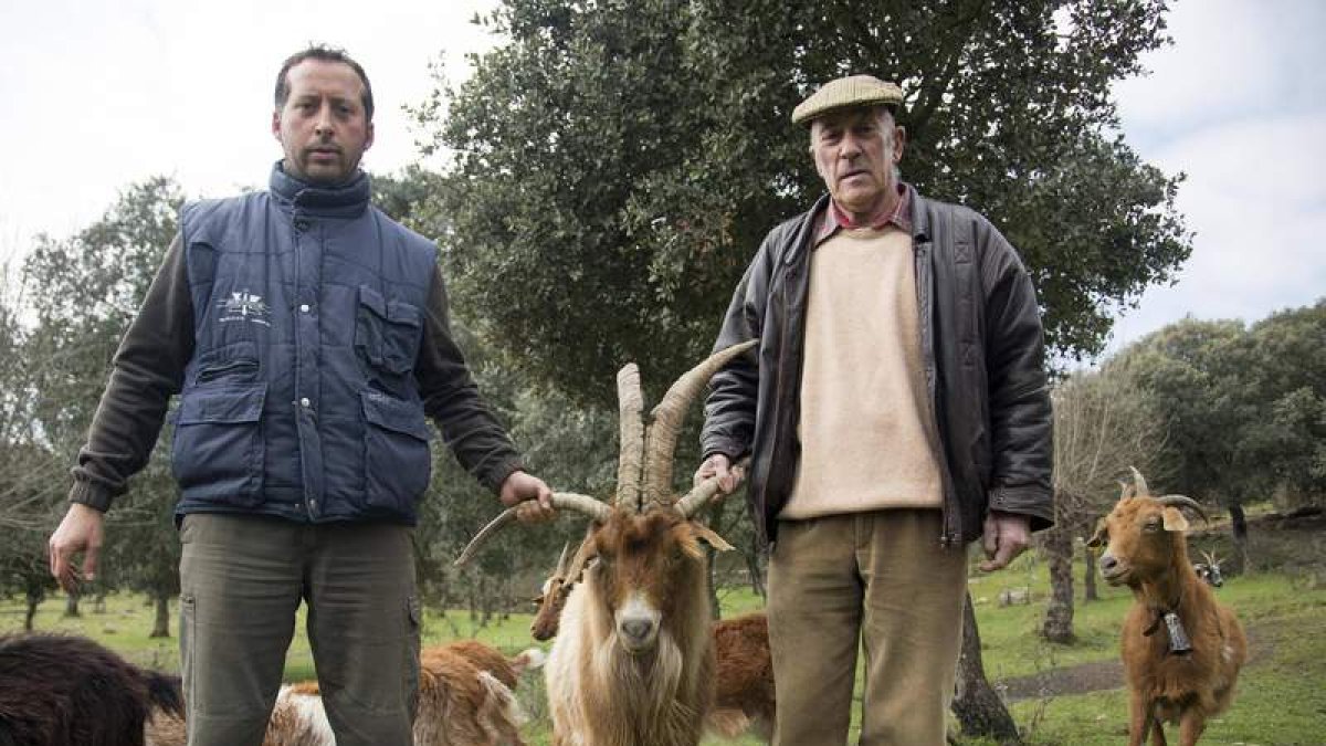 José Manuel Martín y su hijo del mismo nombre crían cabras con cuatro cuernos. DAVID ARRANZ