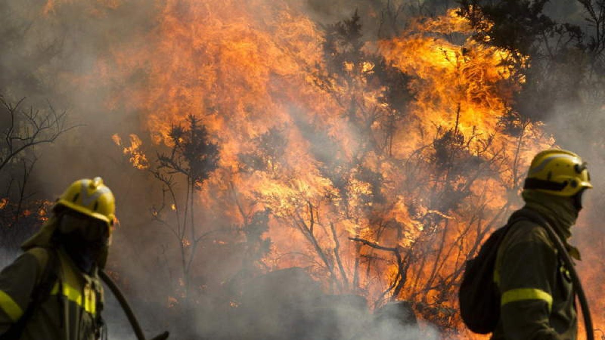 Agentes forestales luchan contra el incendio forestal en Carnota.