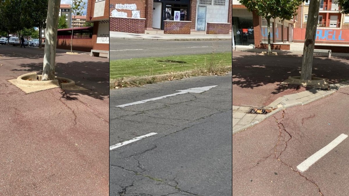 Montaje fotográfico facilitado por Ciudadanos. DL