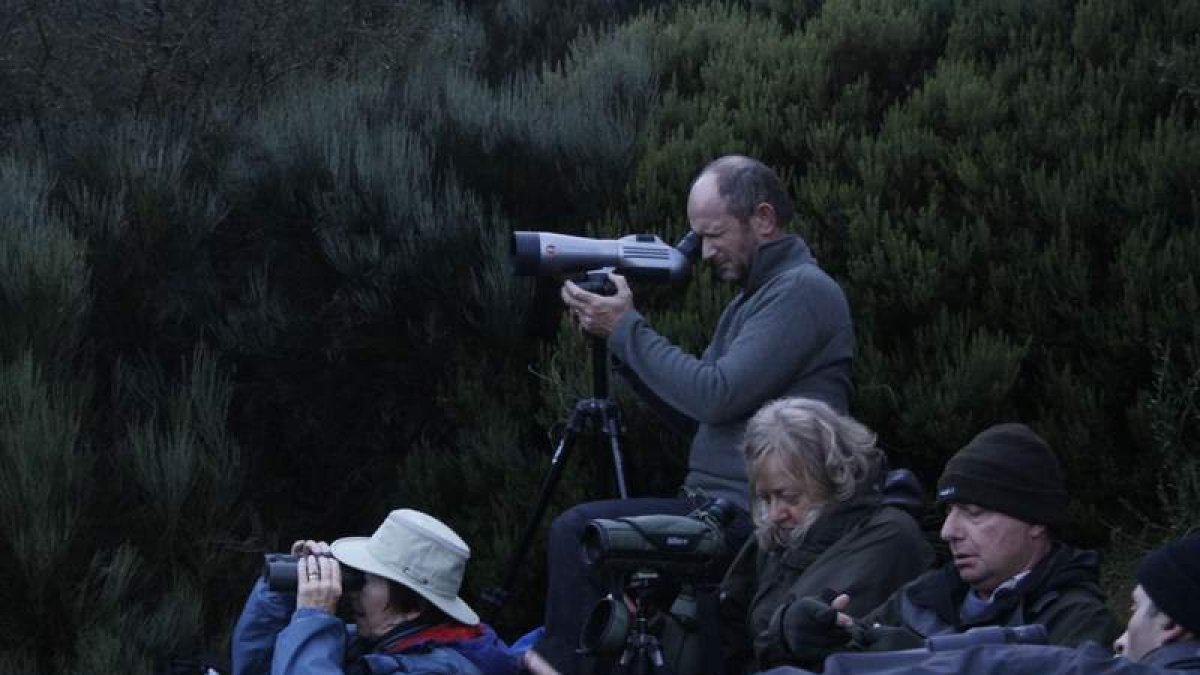 Imagen de un grupo de turistas ingleses realizando fotografías en Riaño. CAMPOS