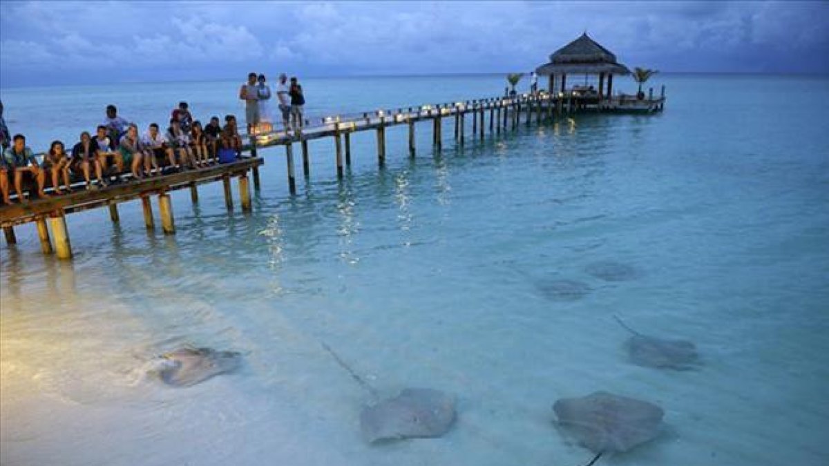 Turistas en Maldivas observando unas rayas.