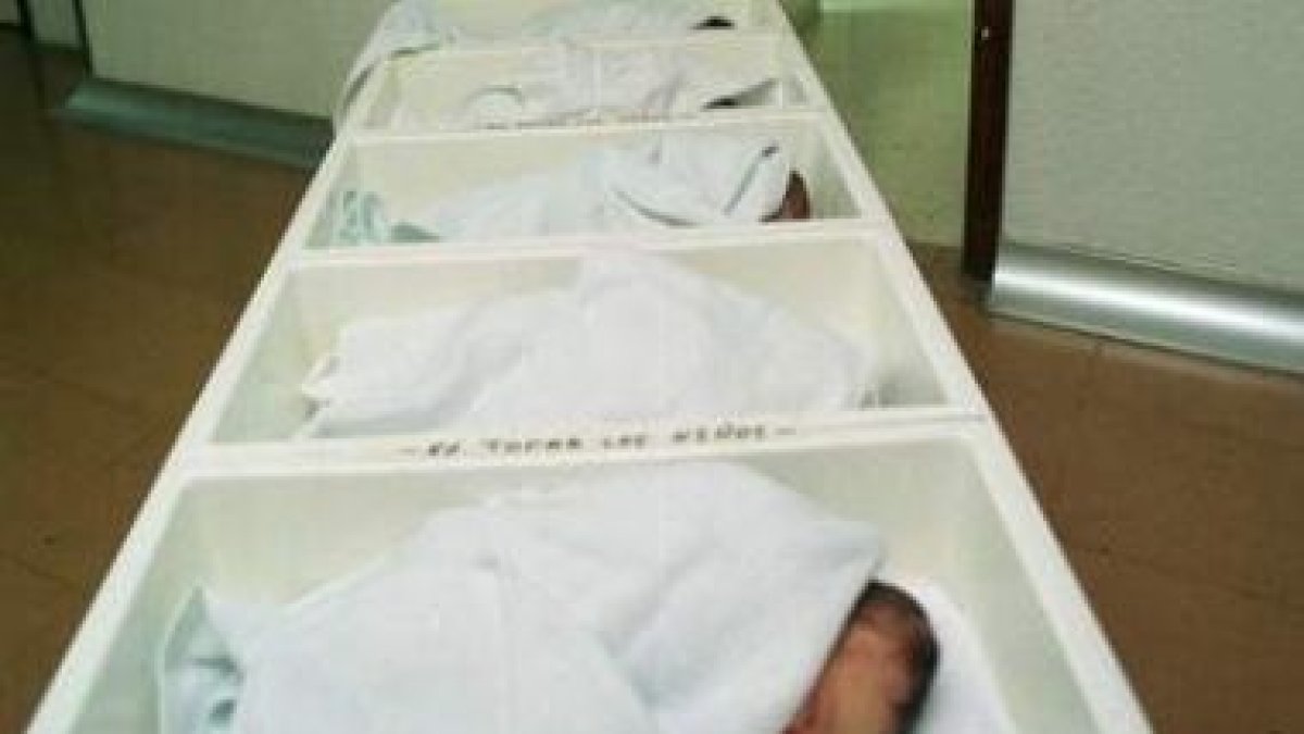 Imagen de archivo de bebés recién nacidos en un hospital leonés.