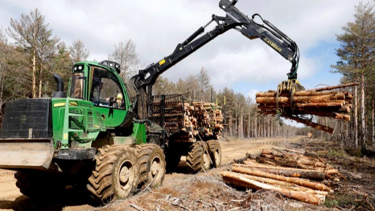 El sector de la madera no encuentra trabajadores cualificados para cubrir la demanda de empleo. MARCIANO PÉREZ