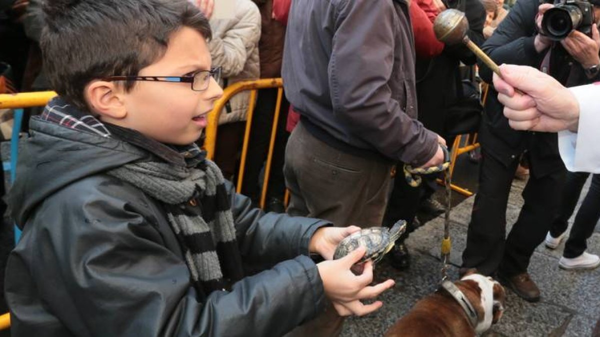 Un niño lleva a bendecir a su pajarito en San Marcelo