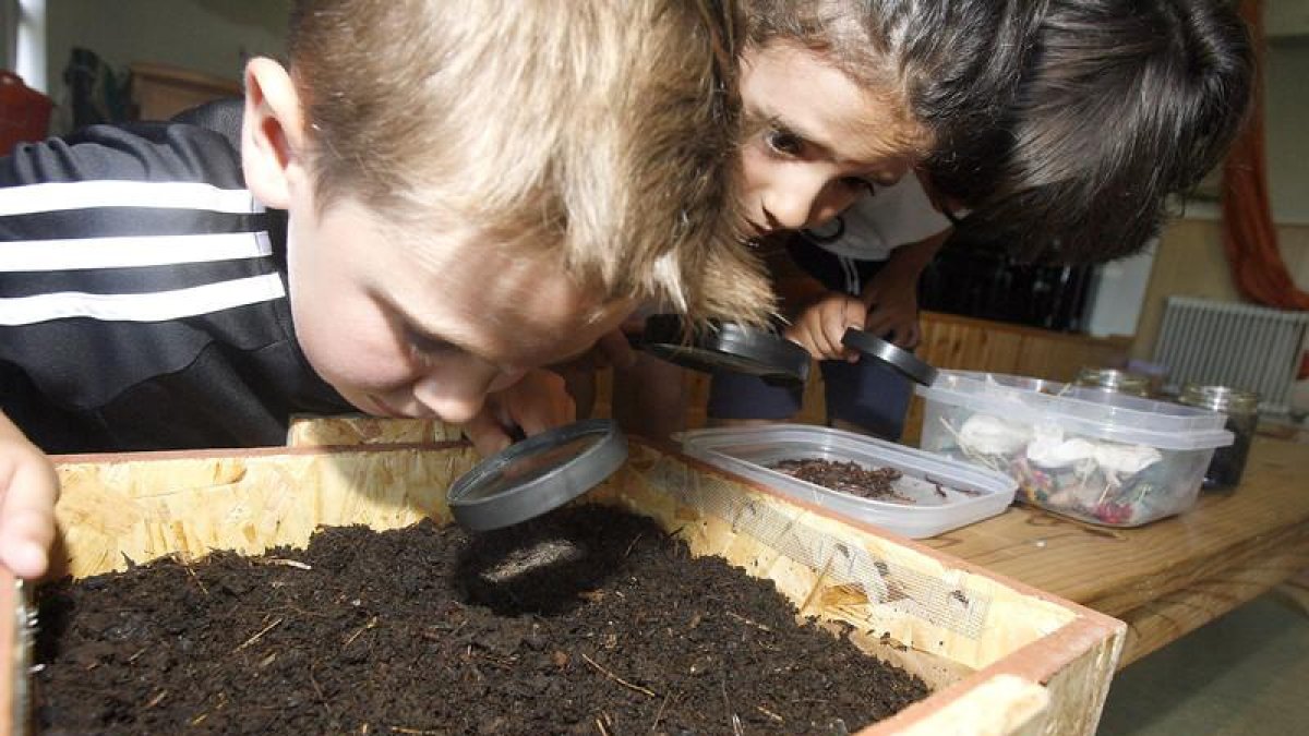 Un niño contempla el humus en un curso de reciclaje en León.