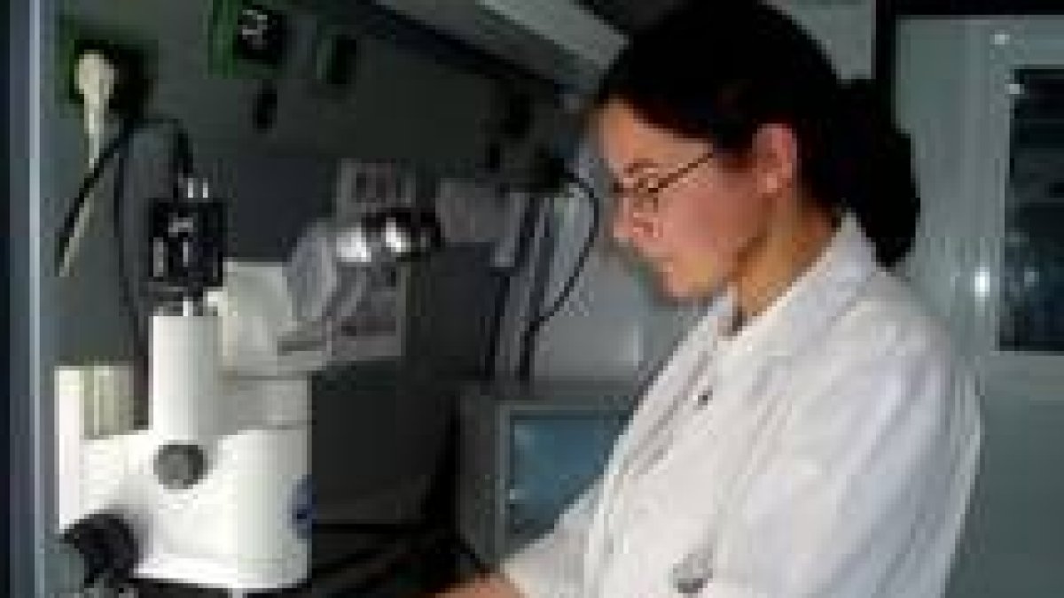 Una investigadora en uno de los laboratorios de la Universidad