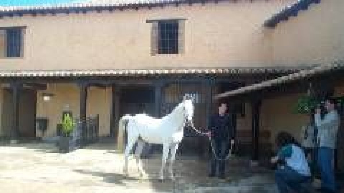 Interior del centro de equinoterapia y escuela de equitación ubicada en Villarrodrigo