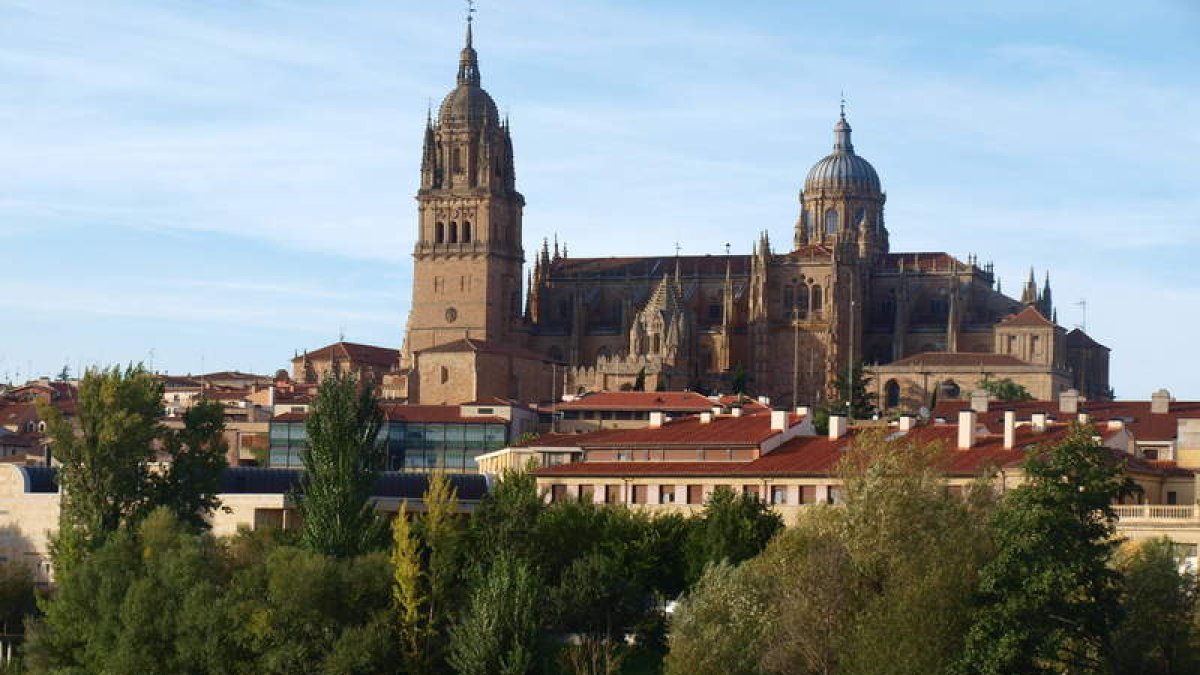 Salamanca, sus cafés, su historia literaria o sus rincones y monumentos son una cita obligada para peregrinar por lo menos una vez al año.