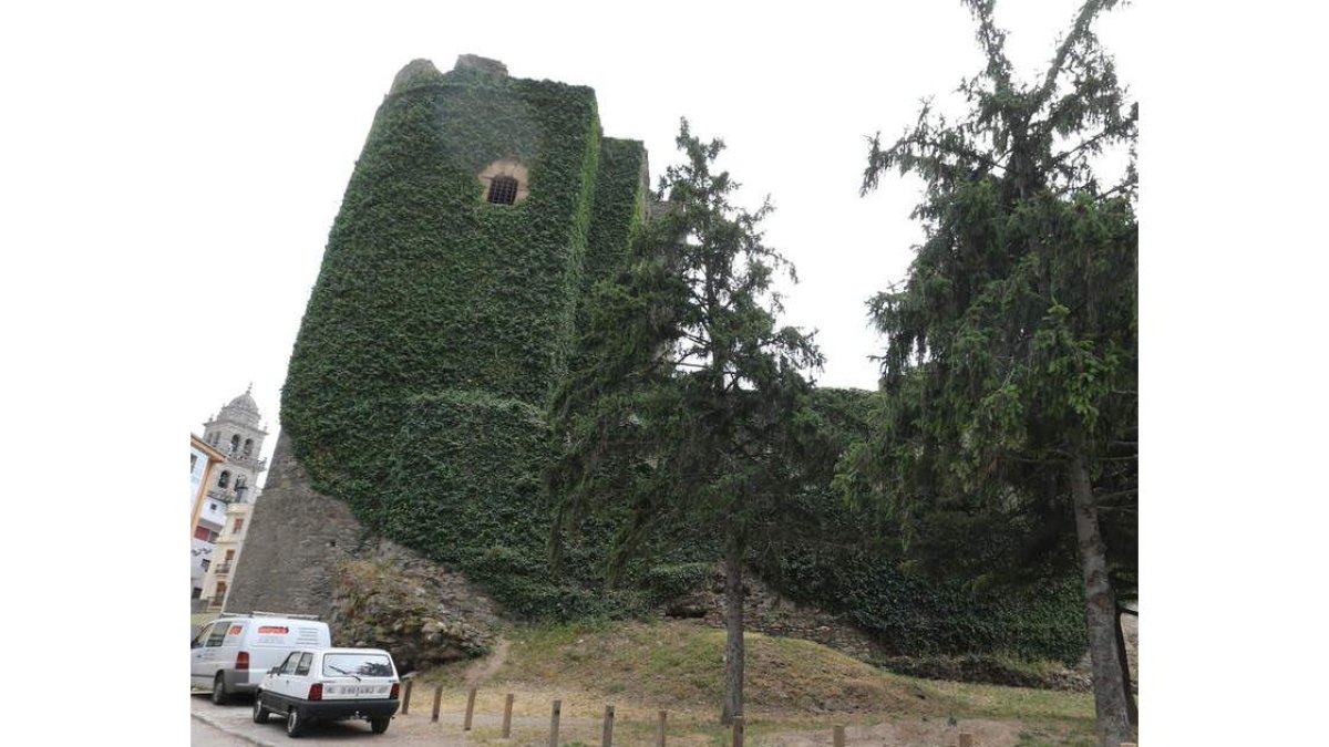 El Castillo Viejo, ayer tras la operación de poda.