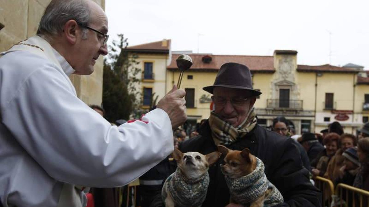 Un hombre pasa con sus dos mascotas bajo la bendición de san Antón, ayer en el centro de León.