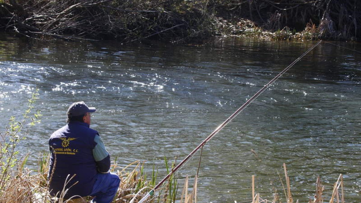 La pesca de la trucha es una de las actividades más practicadas en los ríos leoneses.