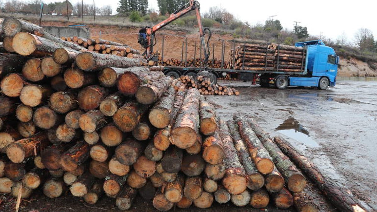 La falta de materia prima de madera está generando problemas en la industria transformadora. L. DE LA MATA
