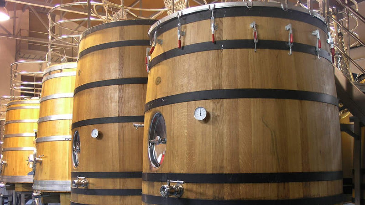 Viejas viñas en rastrera y fermentación en tinas de madera son elementos diferenciadores en la elaboración y los vinos de Margón. B. FERnÁNDEZ