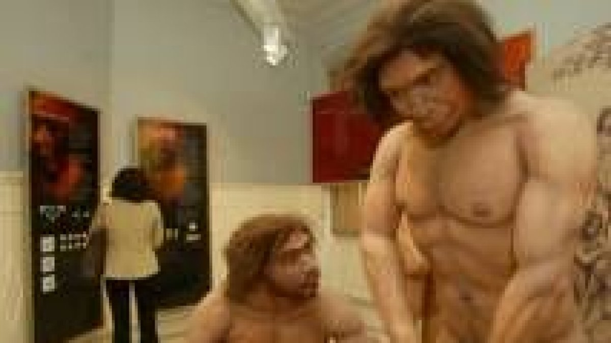 Reconstrucción del Homo Antecessor en una exposición sobre Atapuerca