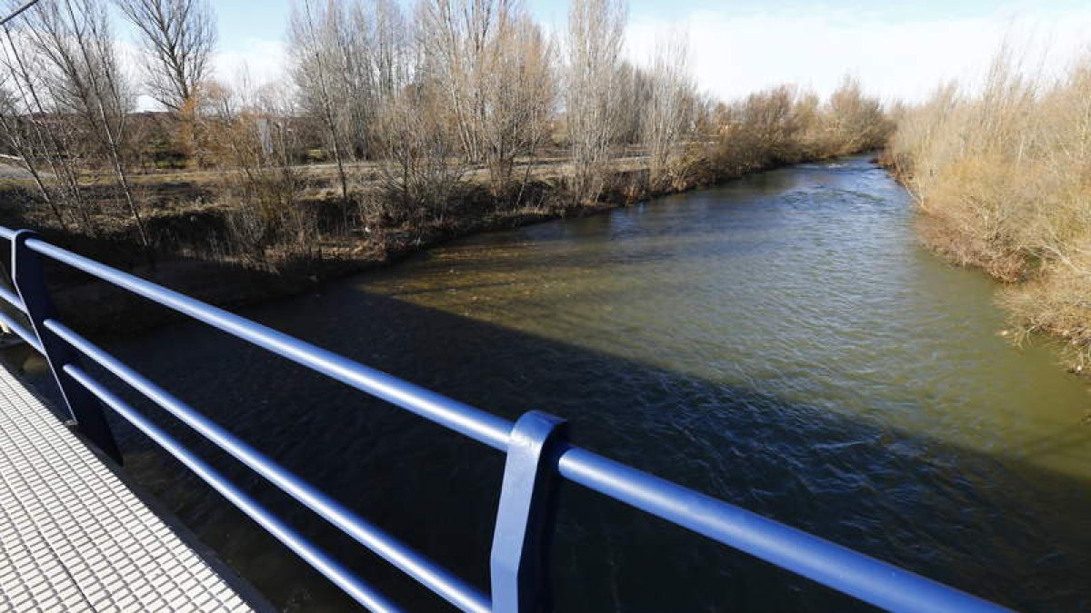 El río Torío, a su paso por Villaobispo de las Regueras.