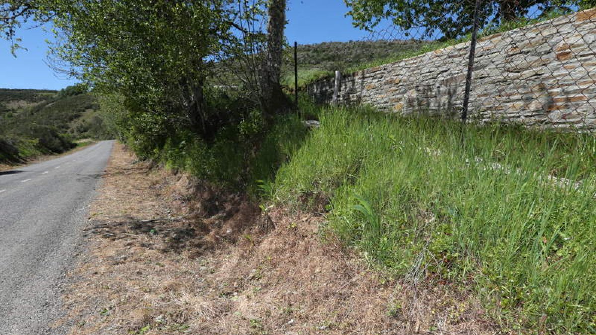 Estado de una de las cunetas fumigadas con herbicida en el límite del Bierzo con Galicia.