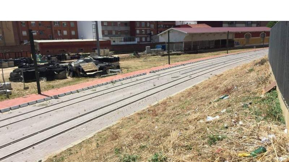 Feve ha vuelto a desbrozar la estación esta semana. MARCIANO PÉREZ