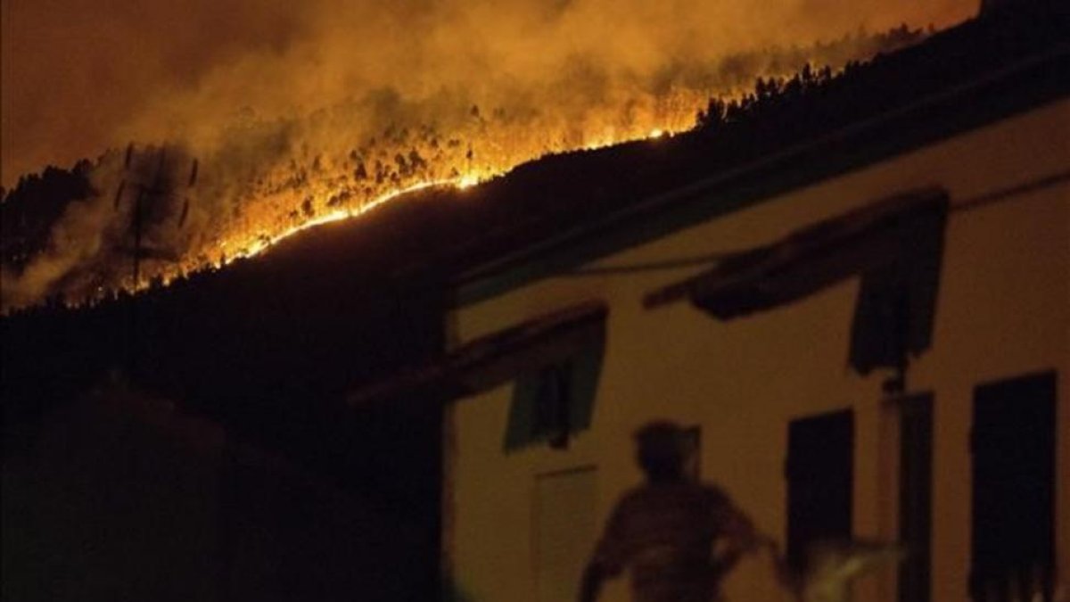 Las llamas han arrasado casas y bosques enteros.