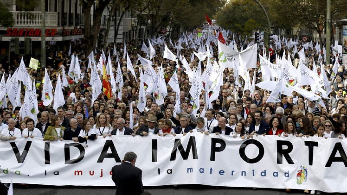 Miles de personas de toda España se manifestaron ayer a favor de la vida en Madrid.