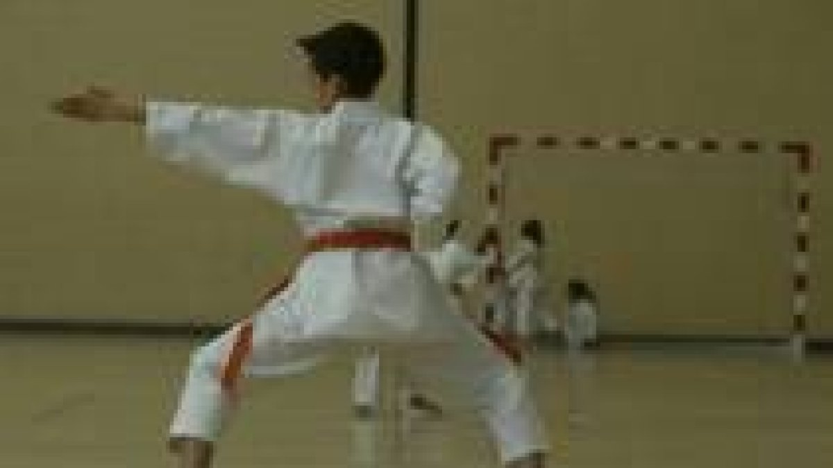 Más de una veintena de karatecas se reunirán mañana en Valladolid
