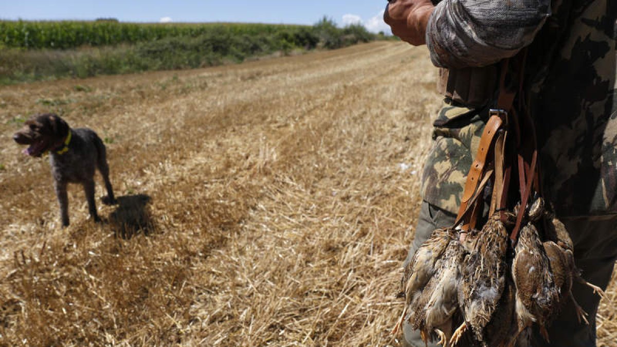 Un cazador, junto a su perro en un campo leonés. FERNANDO OTERO