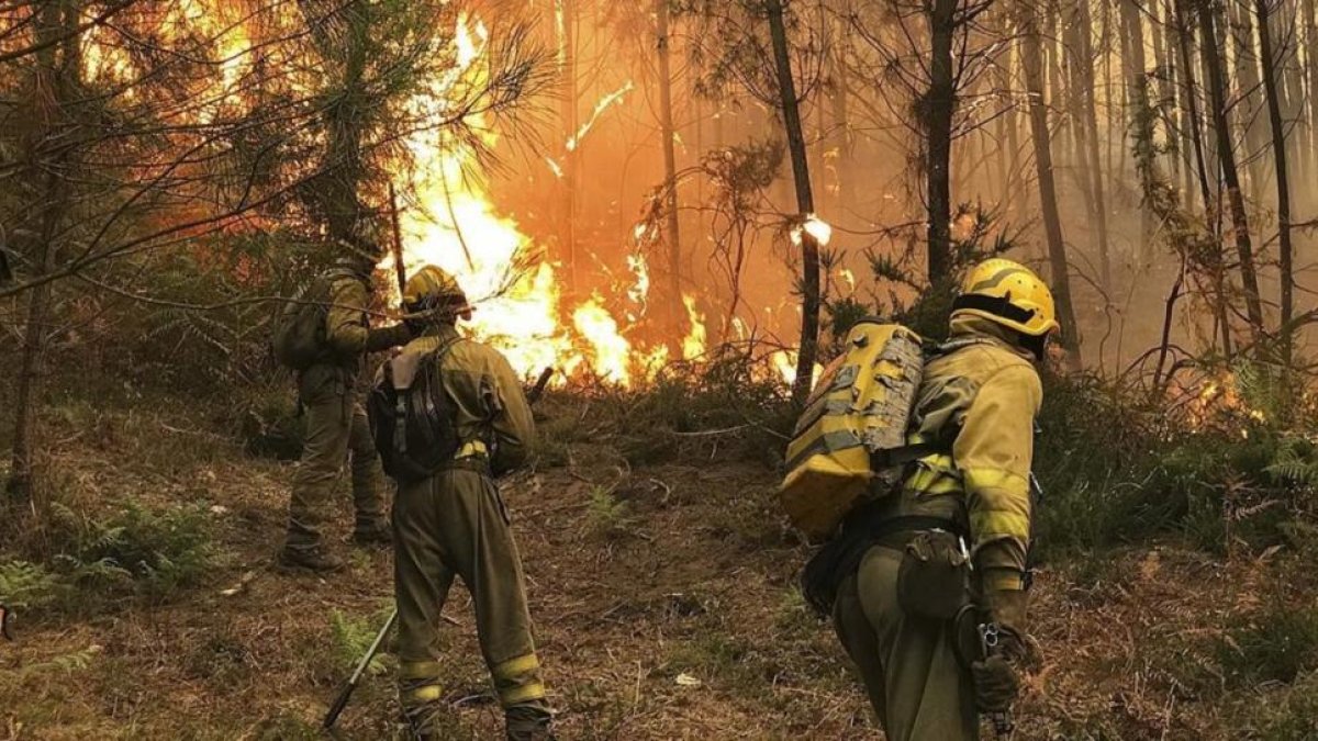 Bomberos luchan contra el fuego en Pazos de Borbén, en Pontevedra.