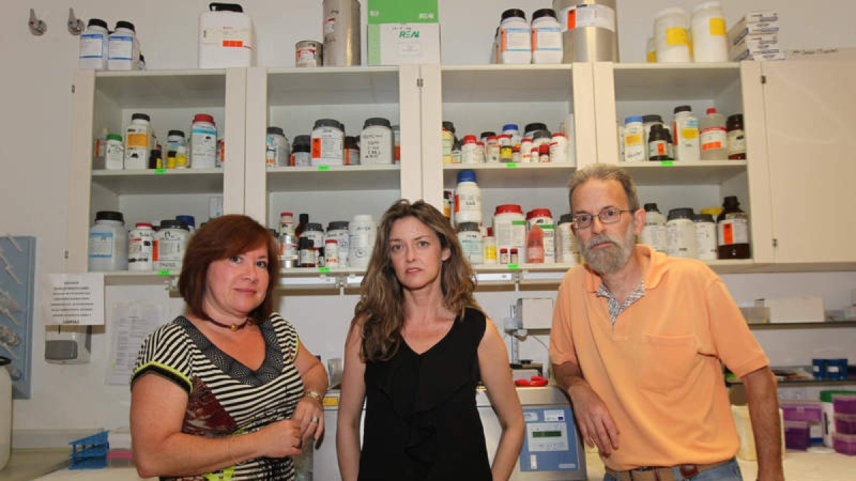 Carmen Martín, Sonia Sanches Campos y Javier González Gallego, responsables del Ibiomed en León.