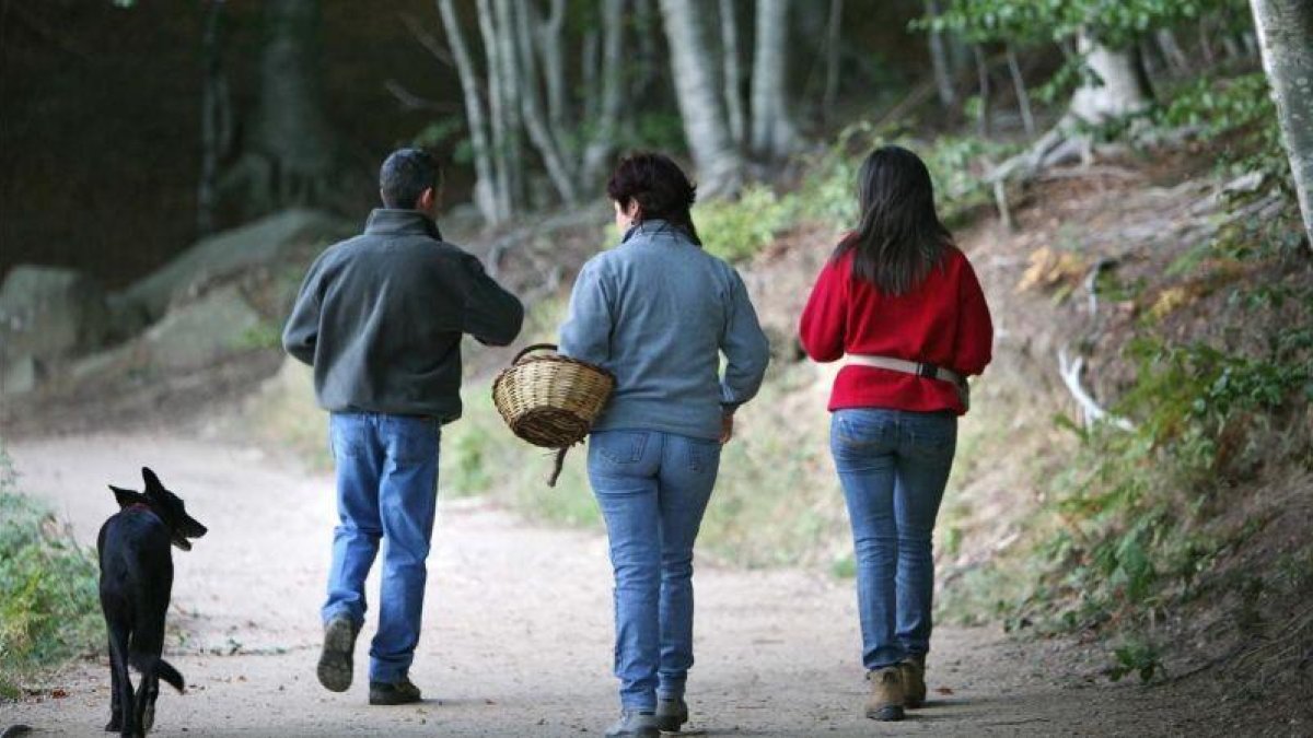 Una familia sale a buscar setas por el Montseny.