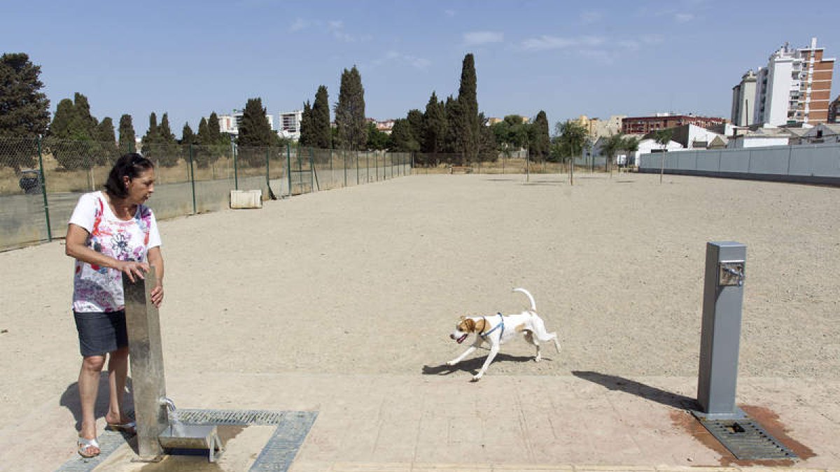 El parque canino de Málaga sobre una fosa . DANIEL PÉREZ