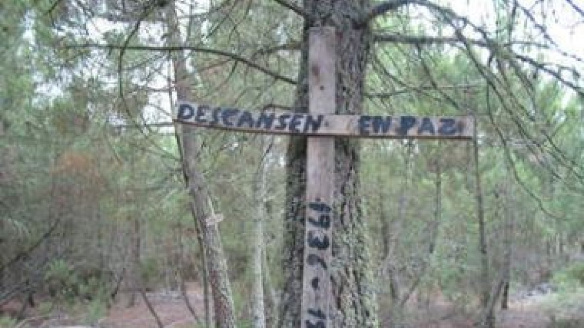 Cruz clavada en un árbol del pinar de Pinilla de la Valdería, donde se encontró una fosa de la Guerr