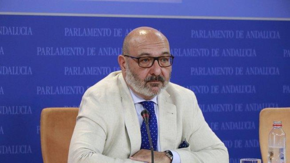 El portavoz de Vox Andalucía, Alejandro Hernández, durante la rueda de prensa