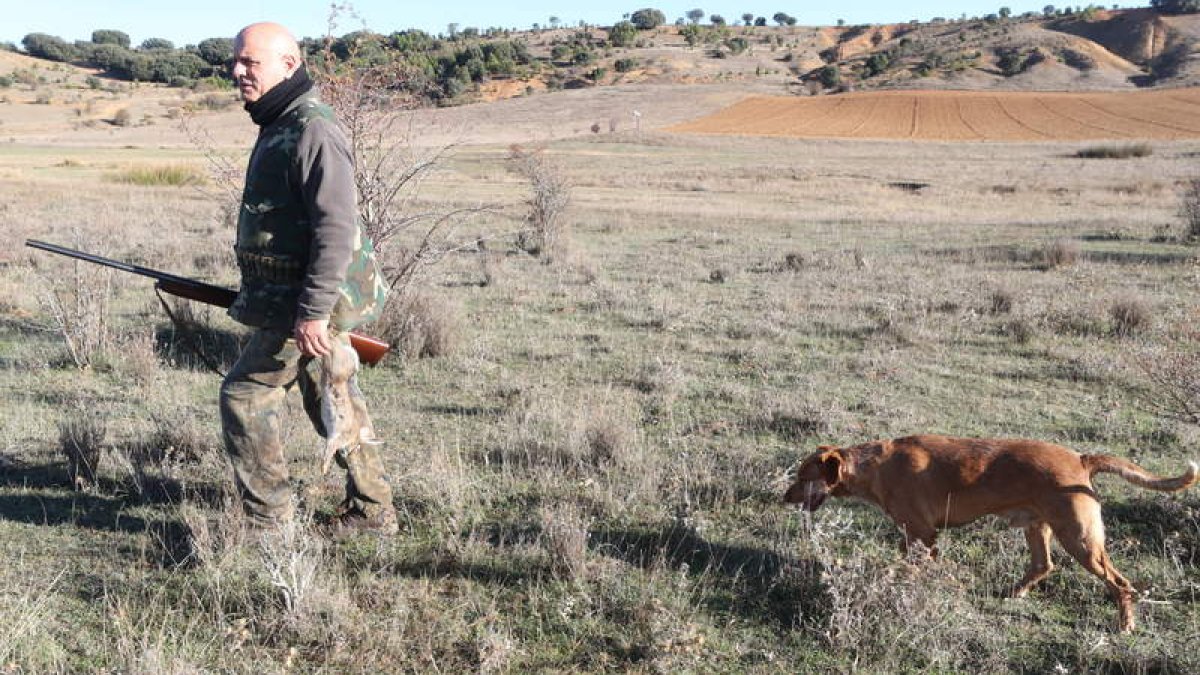 Un cazador en la primera jornada de una temporada que apunta a tres meses en clave desigual según la zona de la que se trate. RAMIRO