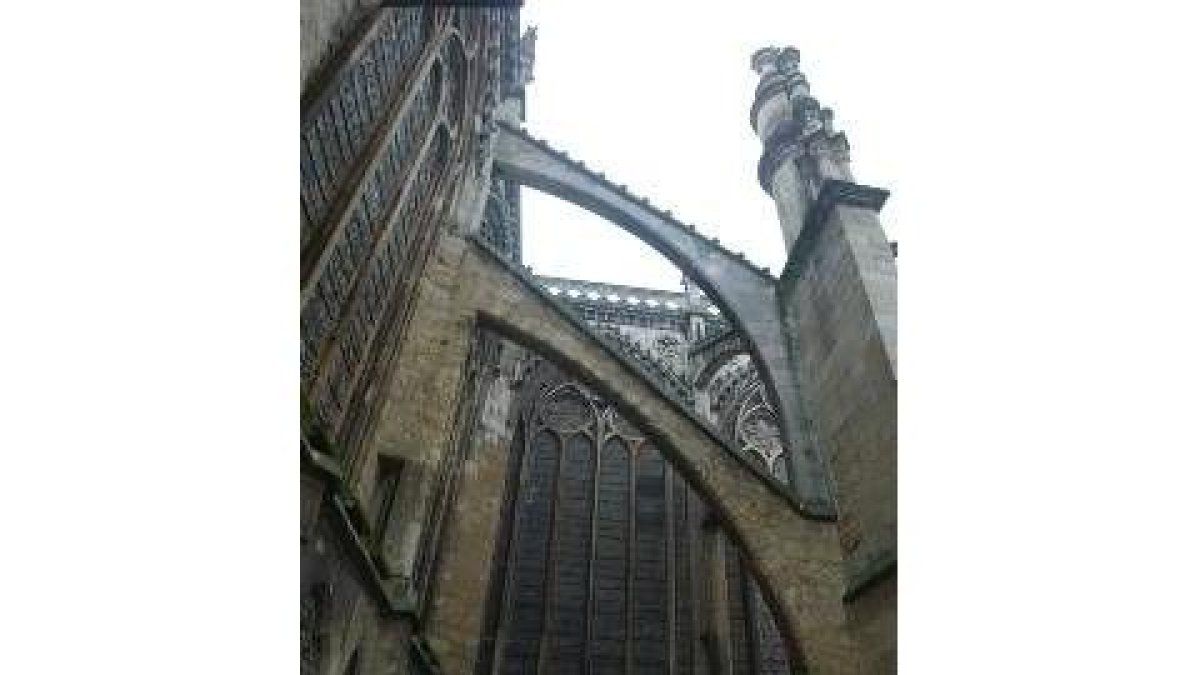 Los arbotantes de la Catedral ya podrán ser restaurados