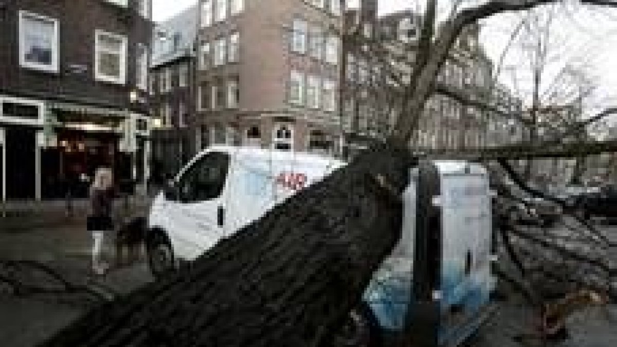 Un árbol caído sobre una furgoneta en una calle de la ciudad holandesa de Amsterdam