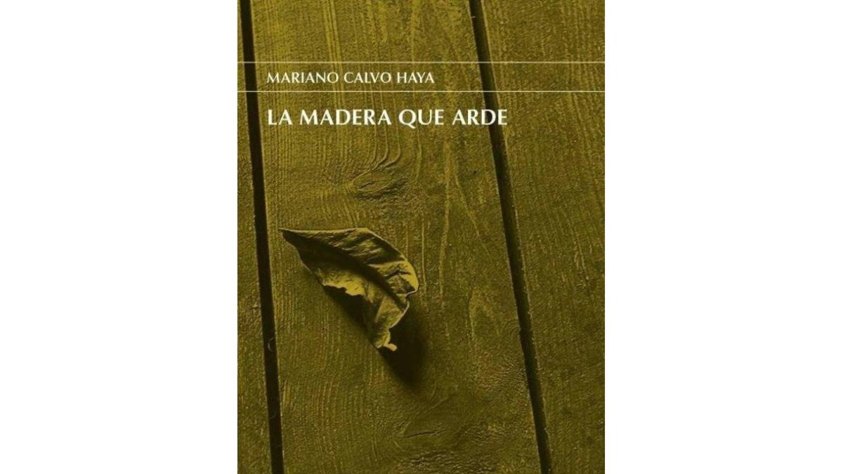 Portada del libro.