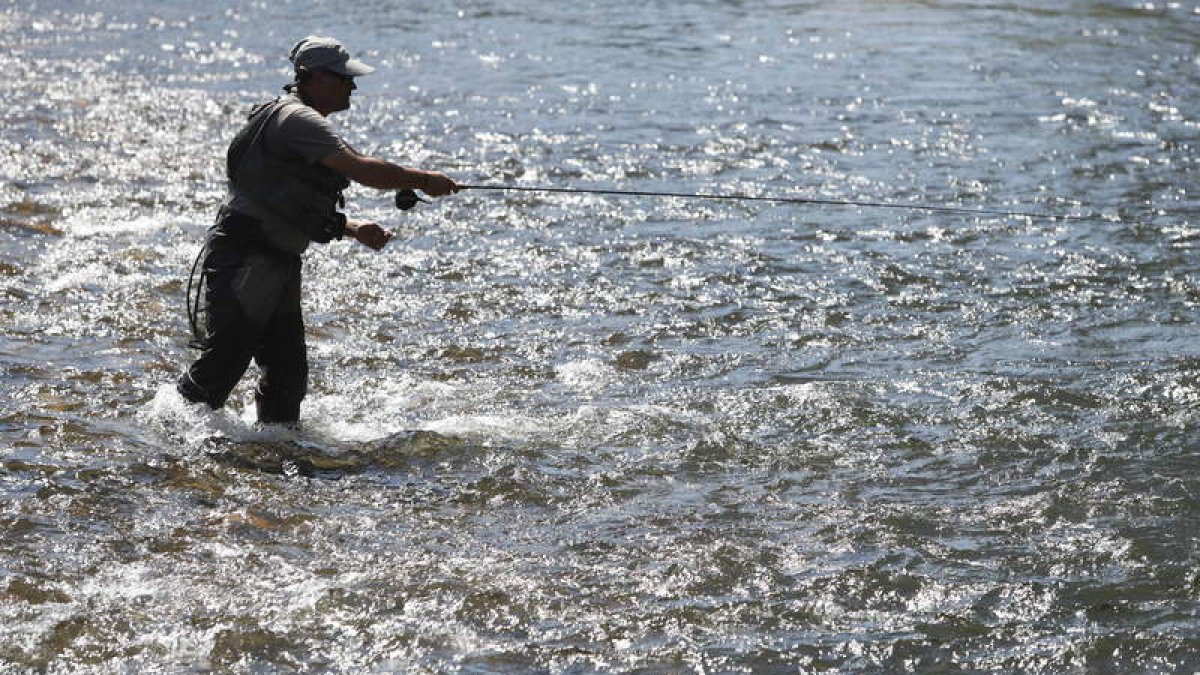 El río Órbigo se convirtió en el epicentro nacional de la pesca a lo largo de cuatro días. JESÚS F. SALVADORES