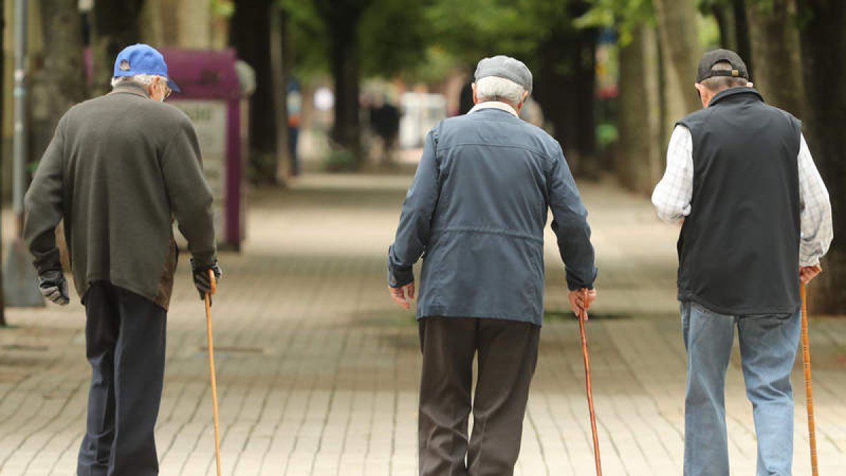 Tres personas mayores caminan por el paseo de La Condesa. L. DE LA MATA