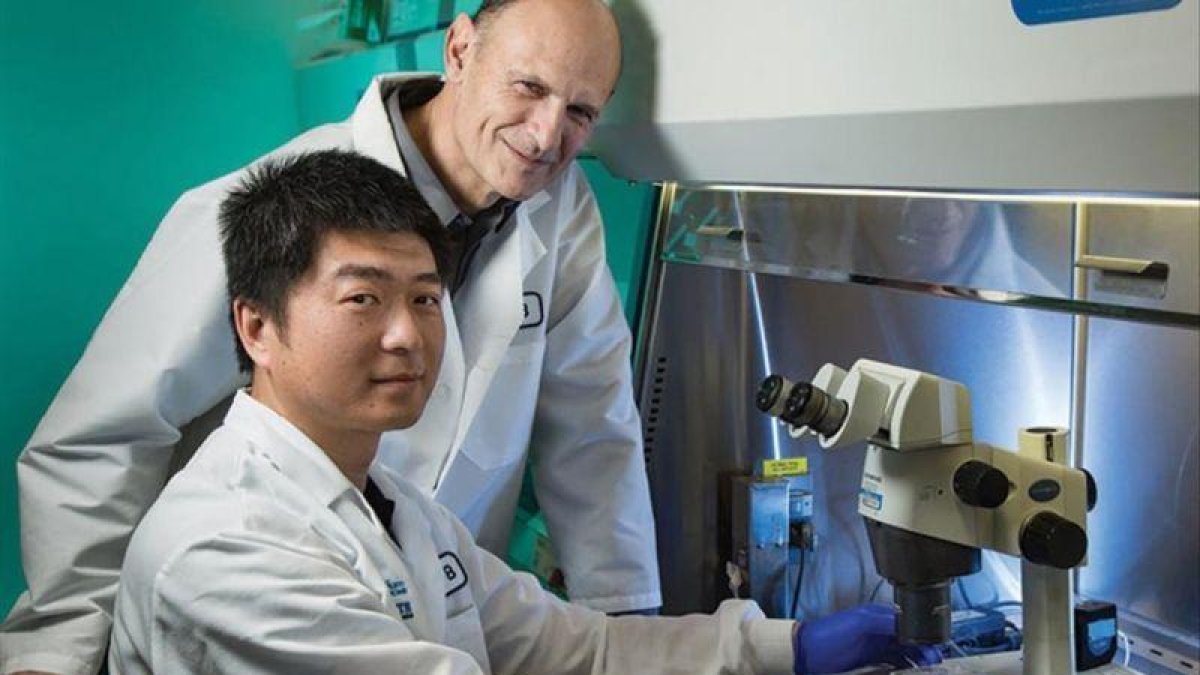 Juan Carlos Izpisúa-Belmonte y Jun Wu, en un laboratorio del Salk Institute, en La Jolla (Californa, EEUU).