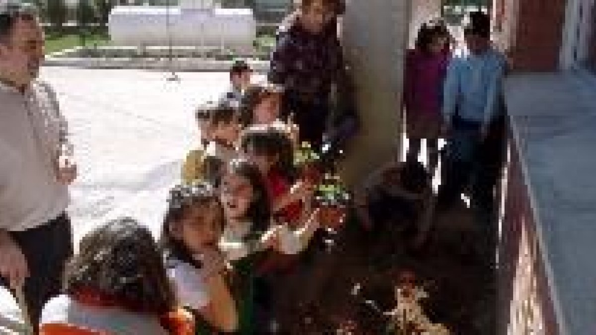 Los niños del Luis de León durante la plantación que realizaron en el patio del colegio