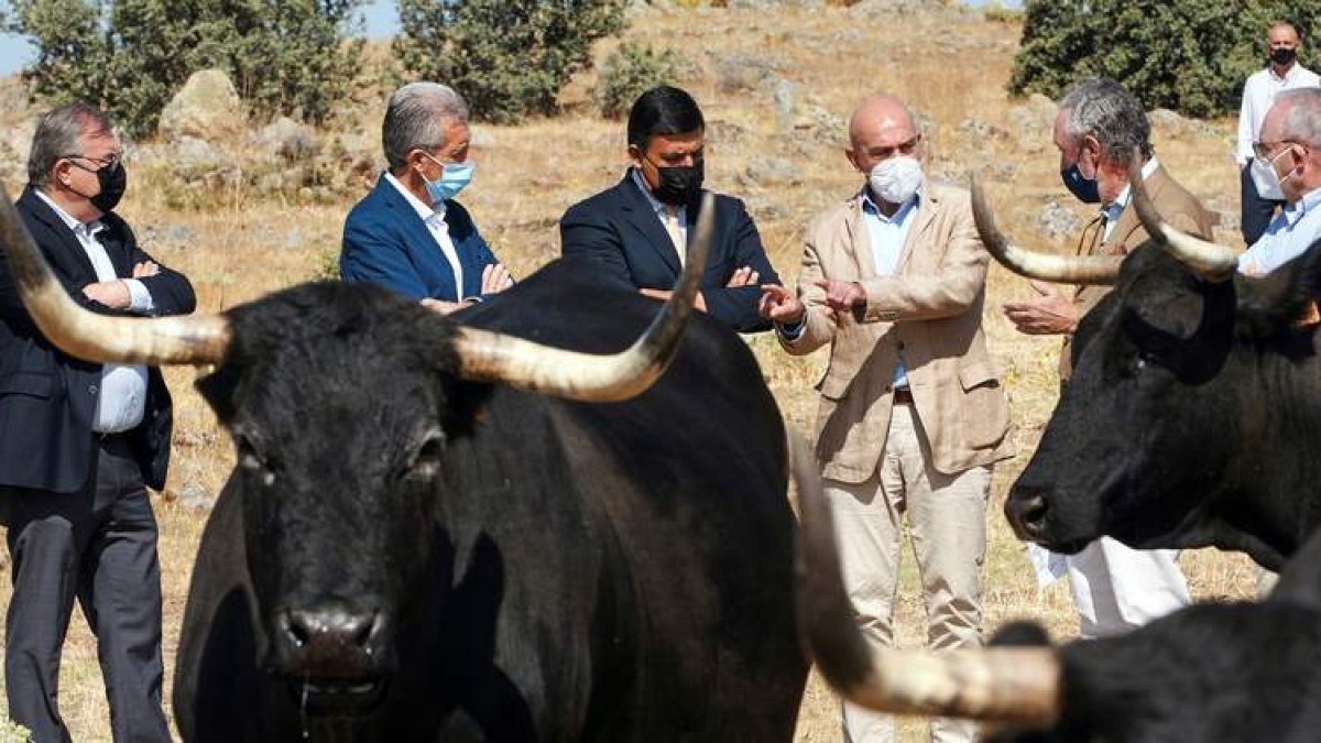 El consejero de Agricultura, Jesús Julio Carnero, ayer, en Cardeñosa. RAÚL SANCHIDRIÁN