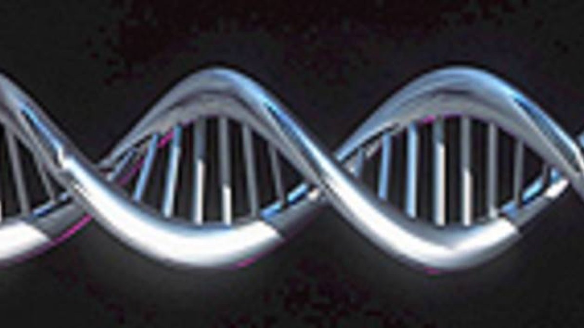 Recreación informática del genoma humano.