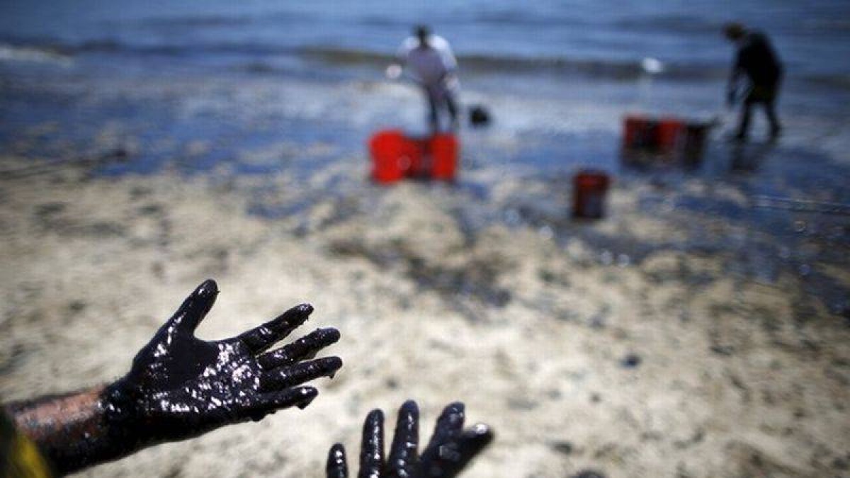 Voluntarios cargan cubos de petróleo de las costas de Santa Bárbara.