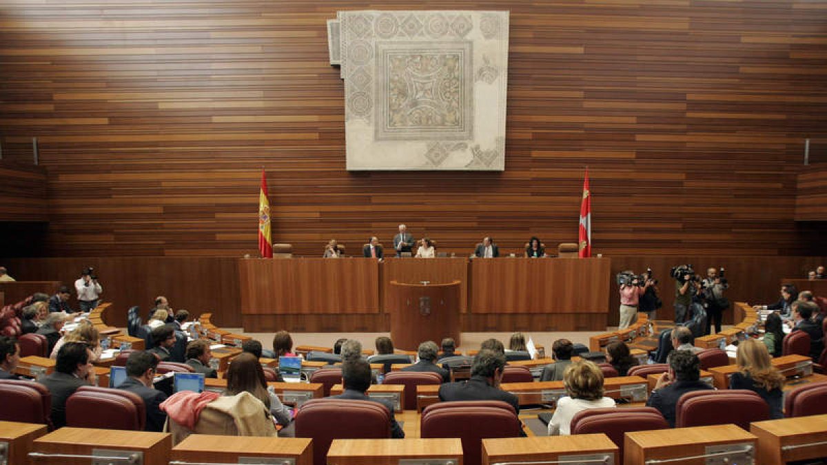 Pilar del Olmo expuso ayer el planteamiento que trasladará al Consejo de Gobierno.