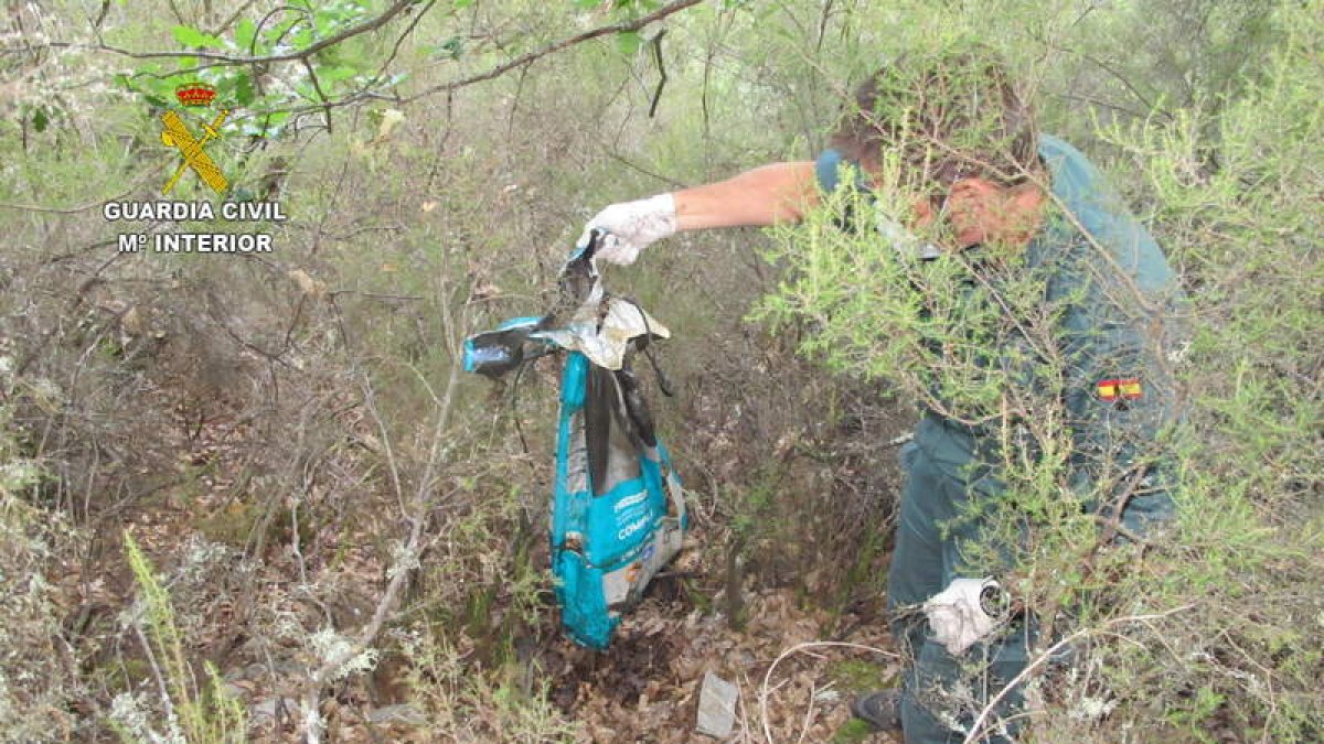 El Seprona ha recuperado cuatro cadáveres de los perros desaparecidos en los montes de Palacios.