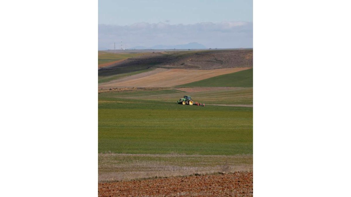 Un tractor trabaja en una finca agraria en Castilfalé. JESÚS F. SALVADORES