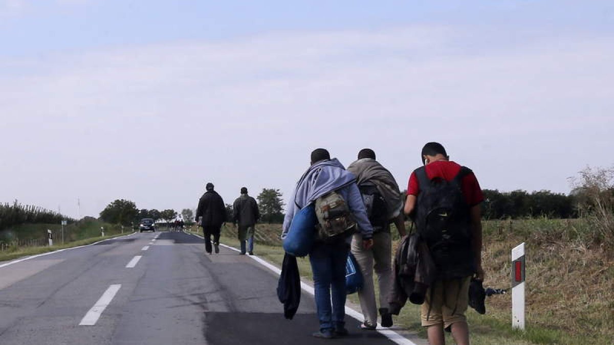 Refugiados, por una carretera del pueblo croata de Ilok.