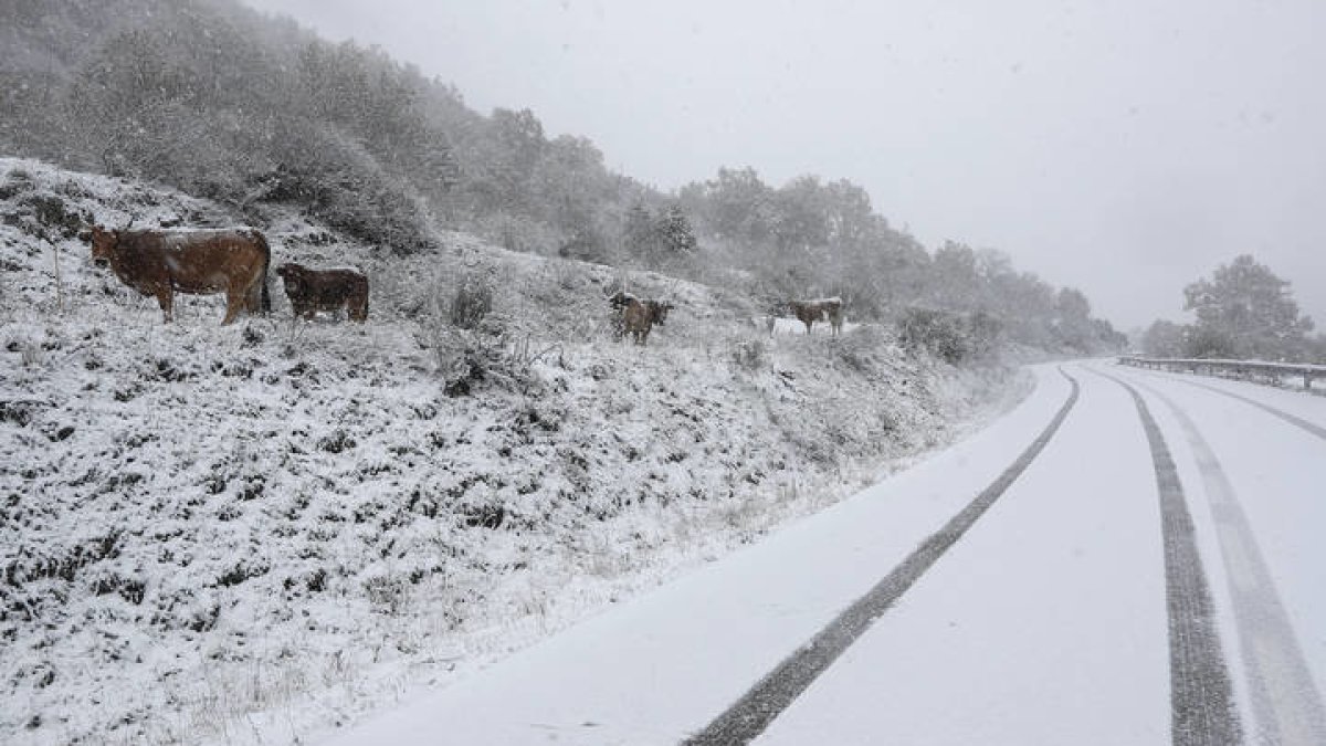 La nieve retorna a la provincia. JESÚS F. SALVADORES