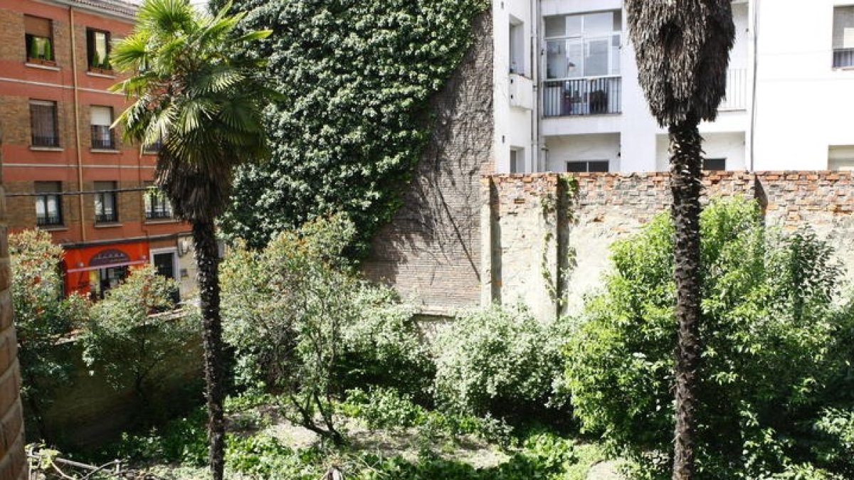 Exótica palmera que conserva el jardín del palacete. RAMIRO